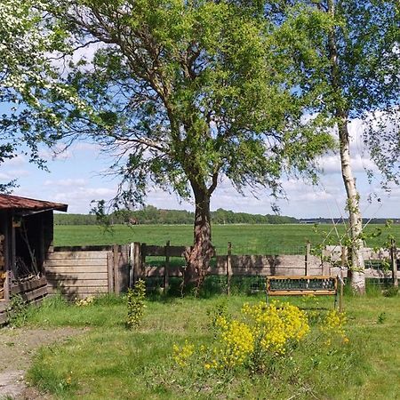 Boven De Wol Bed & Breakfast Appelscha Bagian luar foto