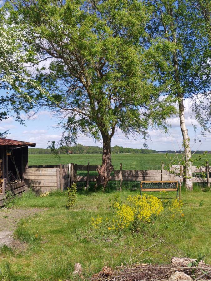 Boven De Wol Bed & Breakfast Appelscha Bagian luar foto